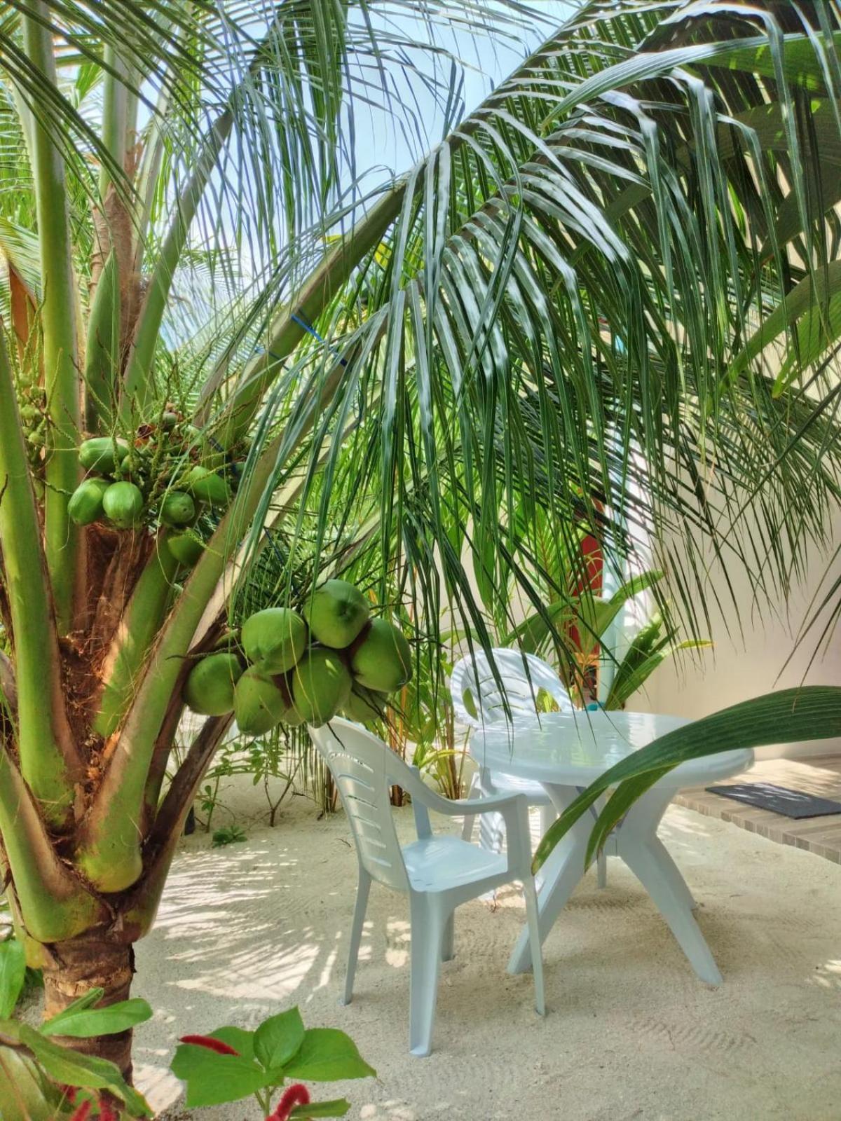Sunrise Inn Thoddoo Exterior foto